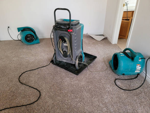 Best Water damage contractors near me  in Southside, AR