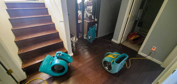 Best Water damage restoration experts  in Southside, AR