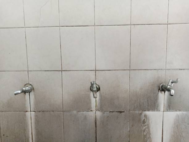Best Flooded house restoration  in Southside, AR
