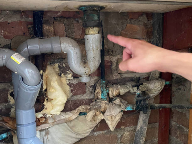 Best Local water damage restoration  in Southside, AR