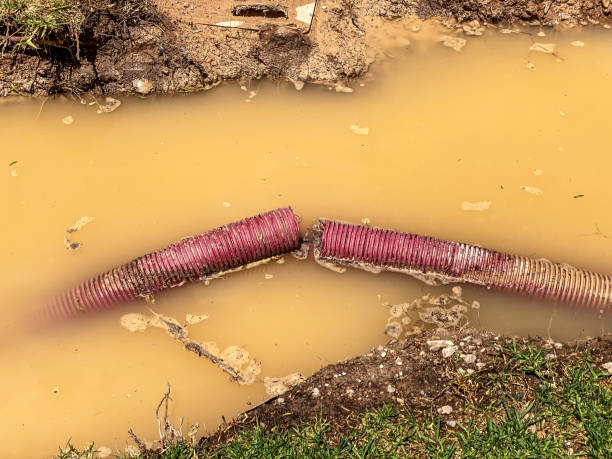 Southside, AR Water damage restoration Company